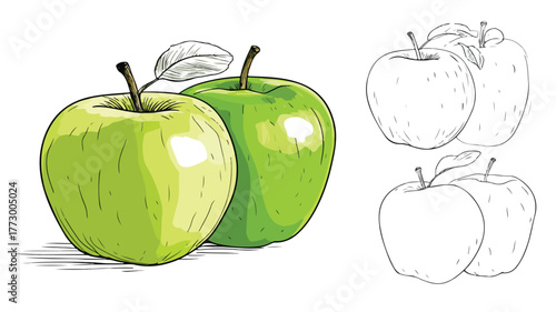 Vibrant Illustration of Apples with Green on Bottom - Vector Drawing