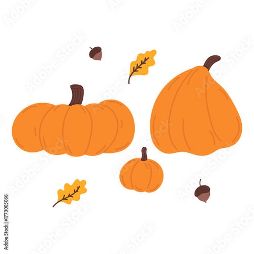 Autumn orange pumpkins, acorns and oak leaves in flat cartoon design. Cosy seasonal harvest, farming crop collection. Halloween and Thanksgiving holiday decoration. Vector illustration isolated.