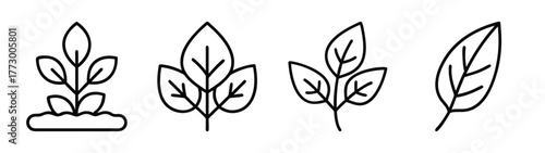Vector line art illustration of herbs and leafy plants for botanical designs and decoration needs
