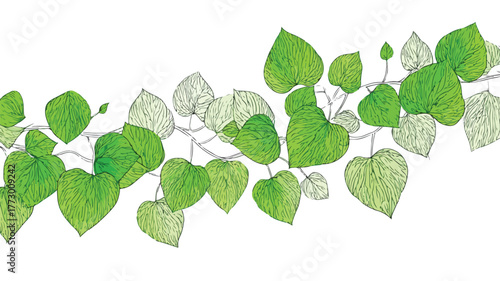 Lush Green Tropical Plant Background with Vibrant Climbing Liana Vine