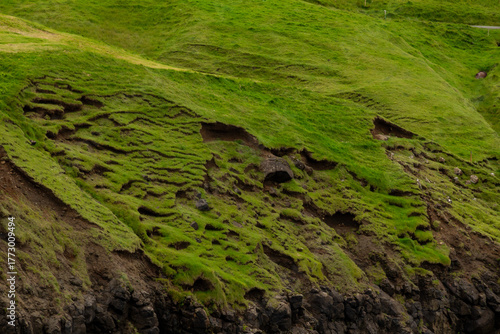 Close-up of natural green grass texture in the Faroe Islands, showing the freshness of Nordic vegetation and coastal moisture.