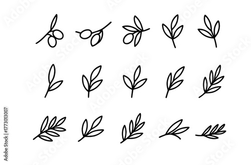 Collection of hand-drawn leaves and branches in simple black line art style on white background