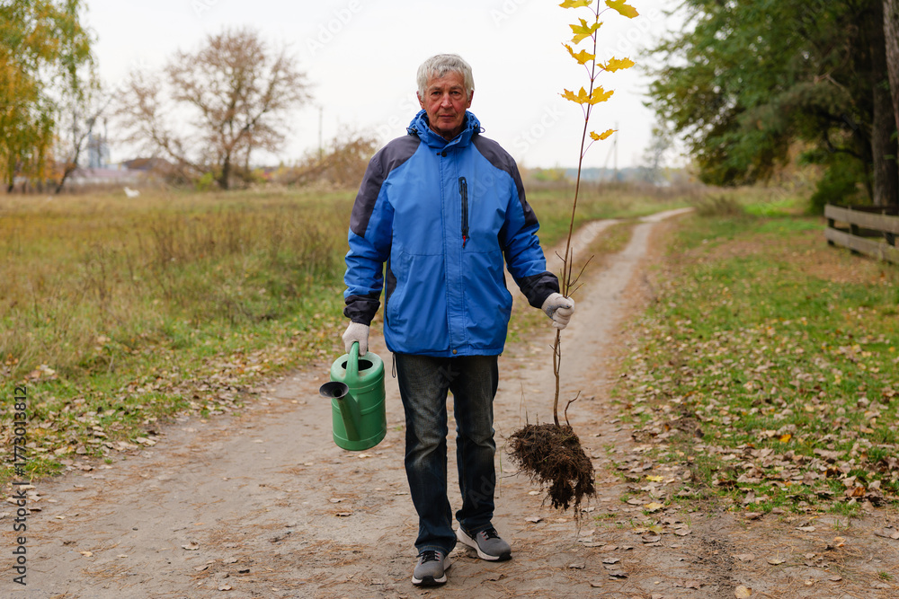 Fototapeta premium A man in a blue jacket walks along a path in a park, holding a young tree and a watering can on a crisp autumn day amidst fallen leaves