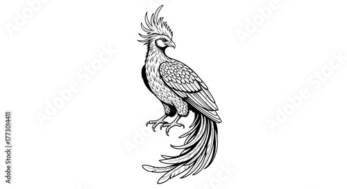 Abstract organic flowing lines and shapes in a modern design