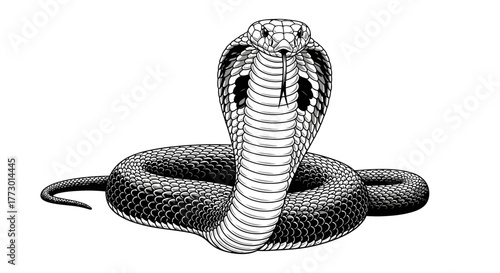 Abstract geometric shapes with flowing lines and curves in rgb color