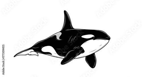 Abstract geometric pattern with flowing curved lines and sharp angles