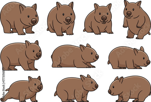 Cute cartoon wombat set, brown marsupial animal illustration, wildlife vector art collection design