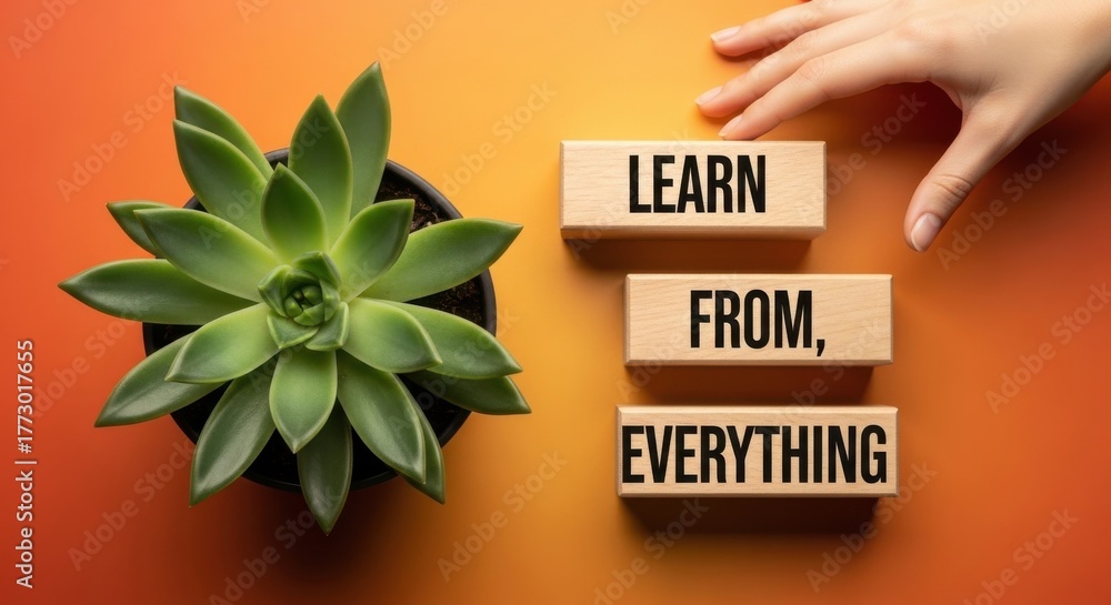 Succulent plant and wooden blocks with motivational words on a colorful background inspire growth and learning