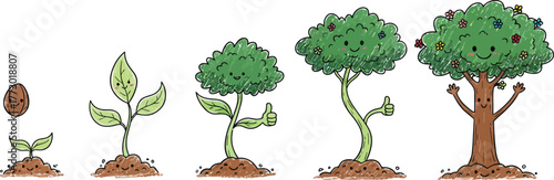 Growth Progression From Tiny Seed to Abundant Fruit-Bearing Tree