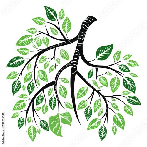 Lungs with leaves, a symbol of healthy breathing