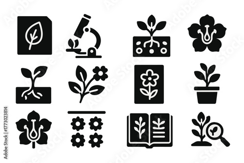 Botanical Study Icons. Solid style icons of Botanical study: herbarium leaf, microscope with petal, plant diagram, labeled flower,