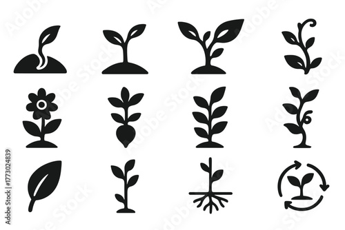 Plant Growth Icons. Solid style icons of Growth stages: seed germination, sprout growth, young plant, budding plant, flowering
