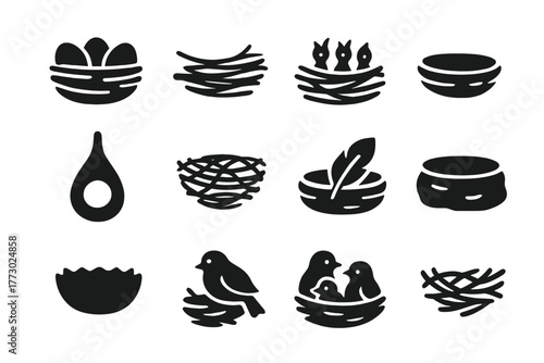 Variety of Bird Nests. Solid style icons of nests: bird nest with eggs, nest on branch, nest with baby birds, empty nest, hanging