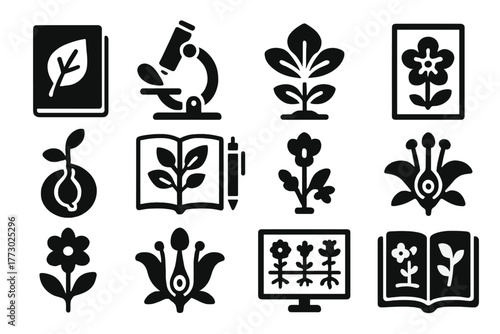 Botanical Study Icons. Solid style icons of Botanical study: herbarium leaf, microscope with petal, plant diagram, labeled flower,