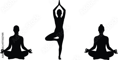 Yoga, silhouette, meditation, mindfulness, tree pose, lotus position, balance, fitness