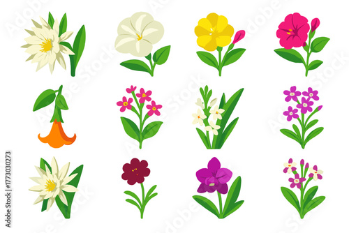 Night Blooming Flowers. Isometric vector illustration set Various Flowers: night-blooming cereus, moonflower, evening primrose,