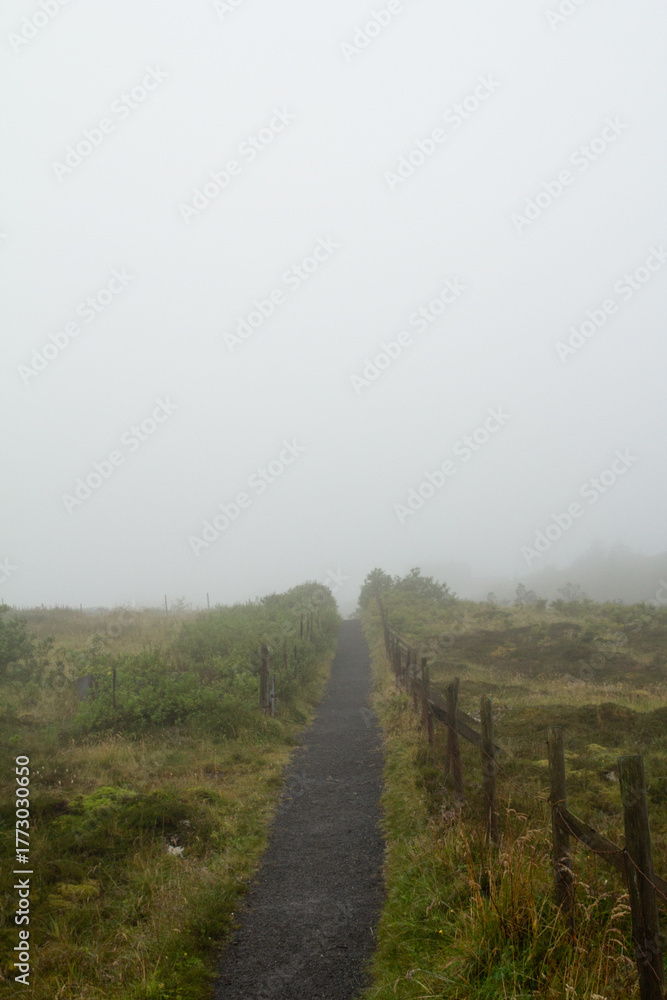 Obraz premium Foggy walking path in Tórshavn, Faroe Islands, great for hiking with unique weather.
