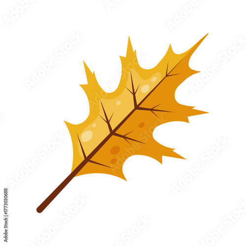 Cute autumn yellow leaf in flat cartoon style  isolated on white background. Oak leaf.Thanksgiving day decorations. Fall element. Autumn plants. Foliage element. Autumn sticker. Vector illustration.