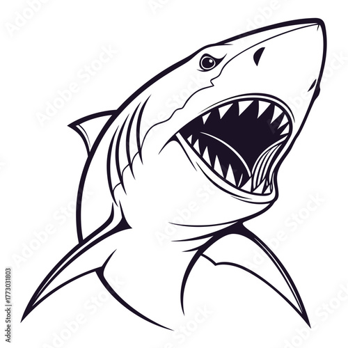 shark face silhouette with white background
