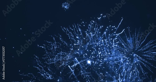Beautiful firework in dark sky. The color is blue