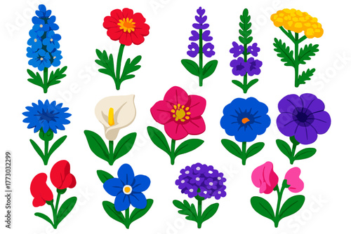 Vibrant Flower Icons. Isometric vector illustration set Various Flowers: delphinium, larkspur, scabiosa, salvia, verbena, yarrow,
