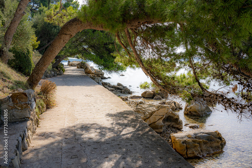 Fototapeta Naklejka Na Ścianę i Meble -  stone steps in a park by the sea, island of Rab, Croatia, Mediterranean, clear, blue sky