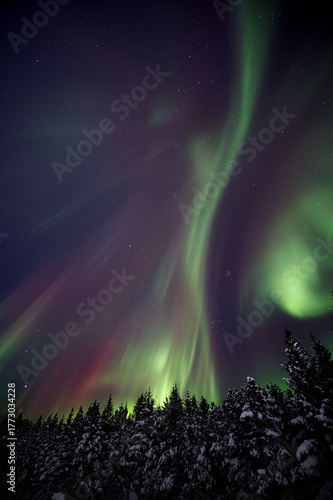Aurora Boreal en Islandia