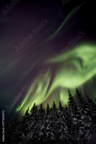 Aurora Boreal en Islandia