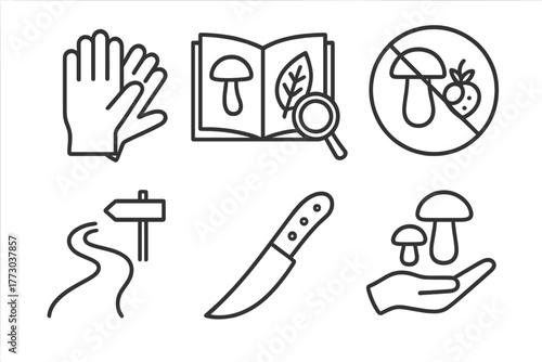 Safe Foraging Icon Set. Line style icons of Safe Foraging Practices: use of gloves, double-checking field guide, no eating in