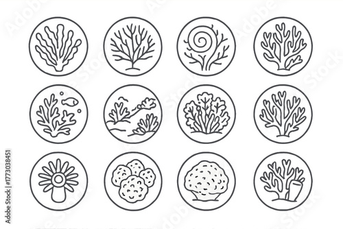 Deep Sea Coral Icons. Line style icons of deep sea corals in round shape: soft coral, fan coral, spiral coral, tree coral; coral