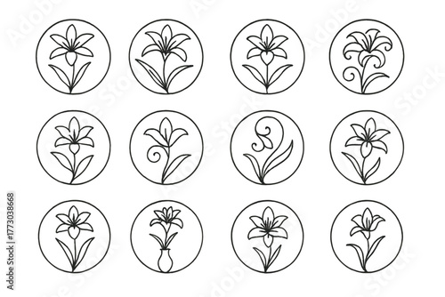 Elegant Lily Icons. Line style icons of elegant lilies in round shape: thin petal lily, long leaf lily, balanced blossom, graceful