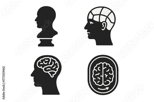 Vintage Brain Study Icons. Solid style icons of Vintage Brain Study: Phrenology Bust, Head, Painted Sections, Pseudoscience,