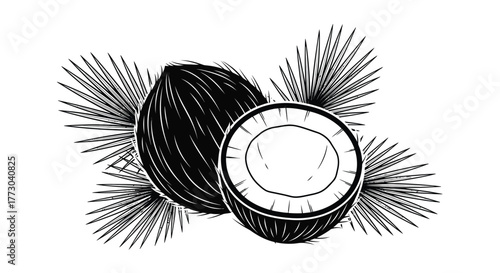 A whole coconut and a half coconut with palm fronds in the background.