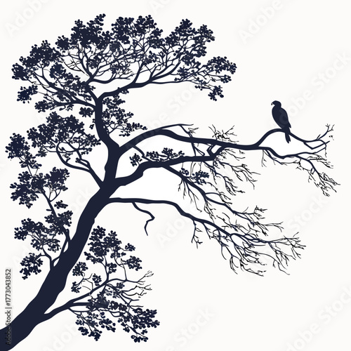 tree branch silhouette with white background