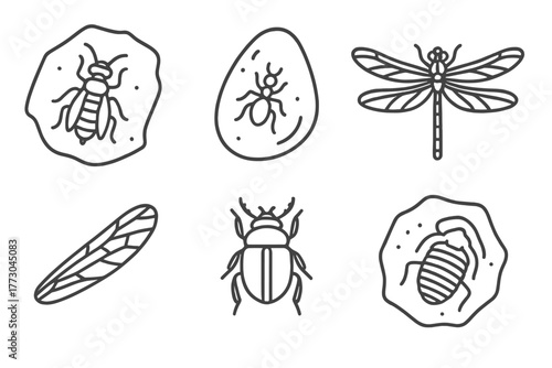 Paleontology Line Icons. Line style icons of paleontology: extinct insect fossil, amber inclusion, ancient dragonfly, prehistoric