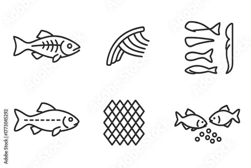 Marine Biology Icons. Line style icons of marine biology: fish anatomy, gill structure, fin types, lateral line, scale texture,
