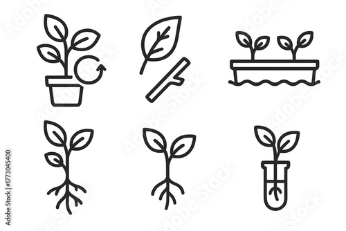 Cloning Technology Icons. Line style icons of cloning technology: plant cloning, leaf cutting icon, hydroponic tray, root