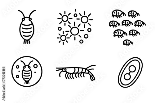 Marine Biology Icons. Line style icons of marine biology: plankton icon, phytoplankton bloom, zooplankton swarm, microscope view