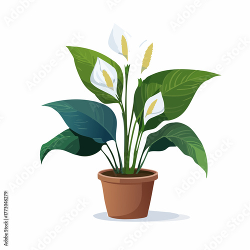 Peace Lily in a Pot Vector Illustration of a Beautiful Houseplant for Home Decor and Design