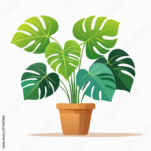 Lush green Monstera deliciosa houseplant in a clay pot. Modern flat vector illustration of a tropical plant for home interior decor