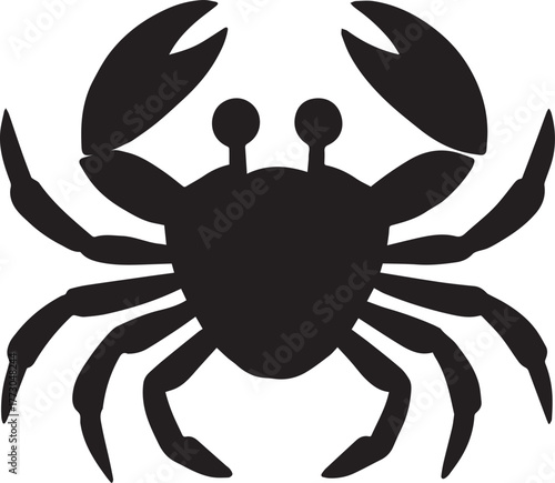 crab spider vector illustration