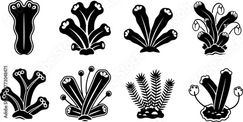 Stylized liverwort plant icons collection for nature design projects