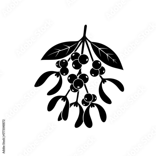 Elegant black and white mistletoe branch with berries hand drawn style for festive designs vector vector illustration on white background