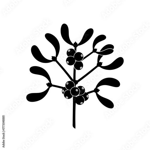 Stylized mistletoe branch with berries christmas holiday botanical element simple black outline vector vector illustration on white background
