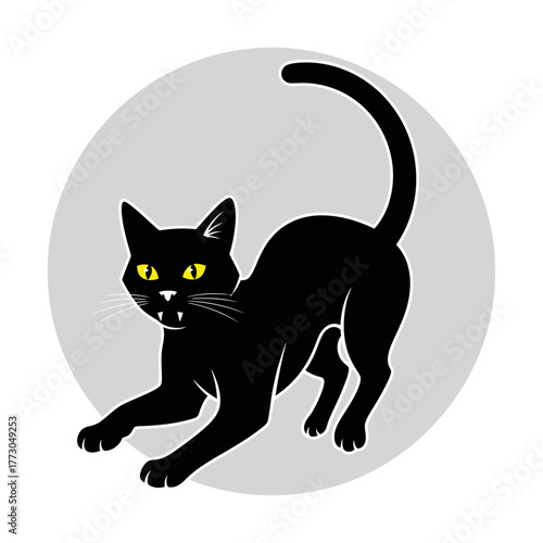 black cat on a white background