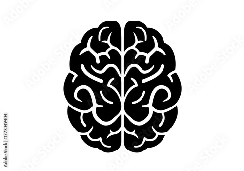 A stylized but fine human brain illustration with intricate details and symmetrical design on a light surface