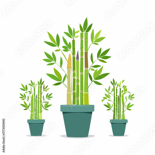 Potted bamboo plants symbolizing growth and tranquility, perfect for home decor and natural aesthetics