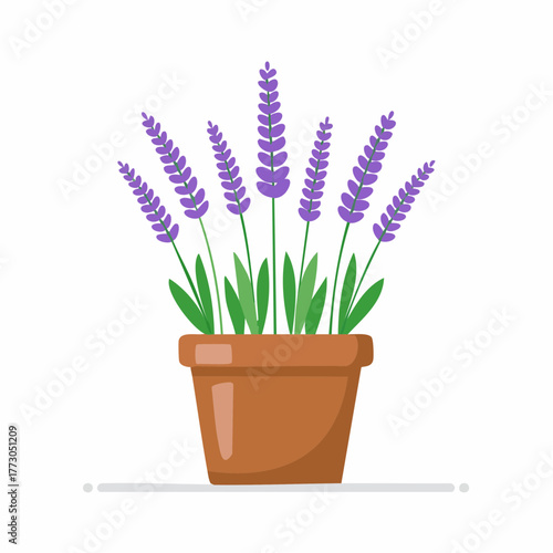 A potted lavender plant with vibrant purple blooms and green leaves, symbolizing relaxation and aromatherapy