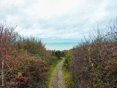 path in the field to the sea