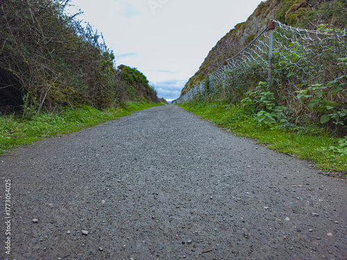 winding road in the mountains
